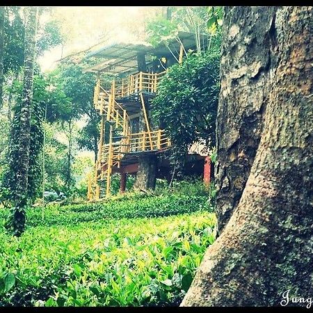Jungle Jive Treehouse And Farm House Munnar Exterior photo