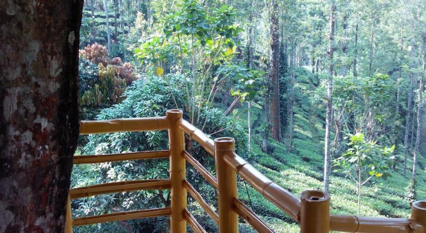 Jungle Jive Treehouse And Farm House Munnar Exterior photo