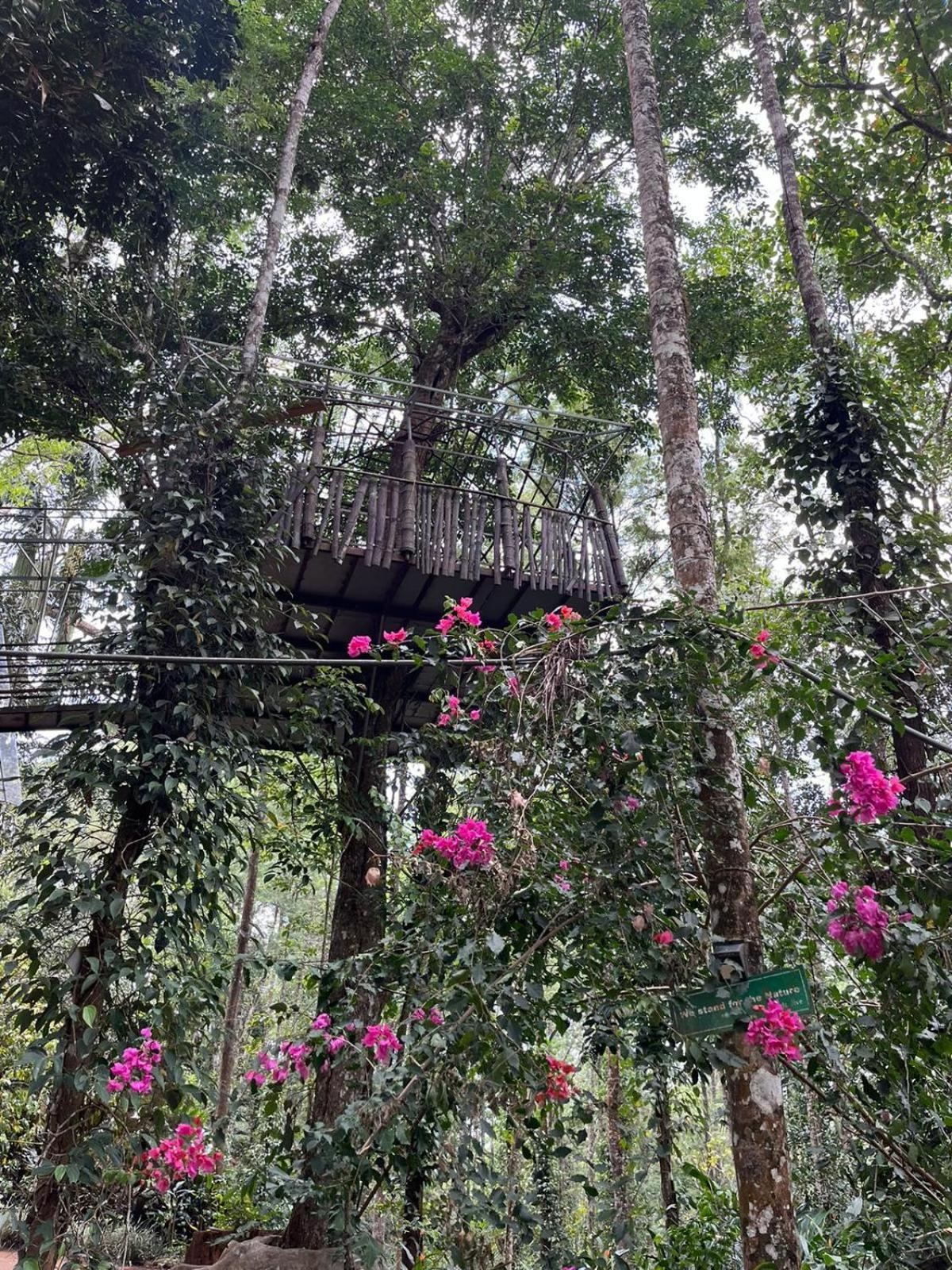 Jungle Jive Treehouse And Farm House Munnar Exterior photo