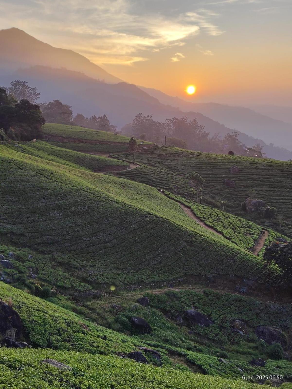 Jungle Jive Treehouse And Farm House Munnar Exterior photo