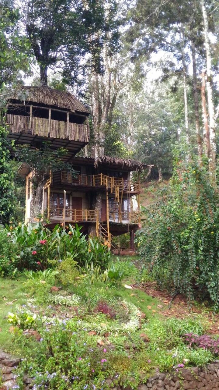 Jungle Jive Treehouse And Farm House Munnar Exterior photo
