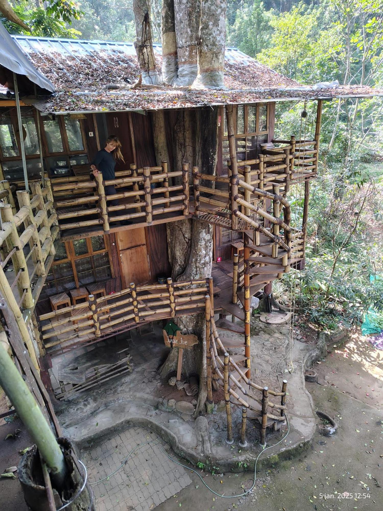 Jungle Jive Treehouse And Farm House Munnar Exterior photo