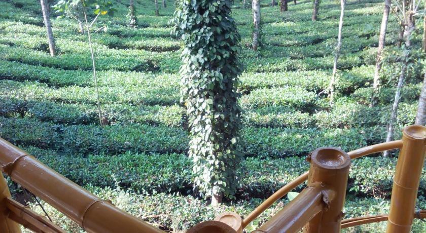 Jungle Jive Treehouse And Farm House Munnar Exterior photo